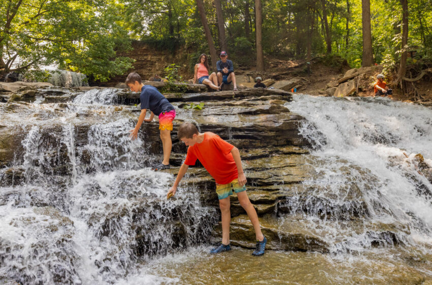  Tanyard Falls and Tanyard Nature Trail
